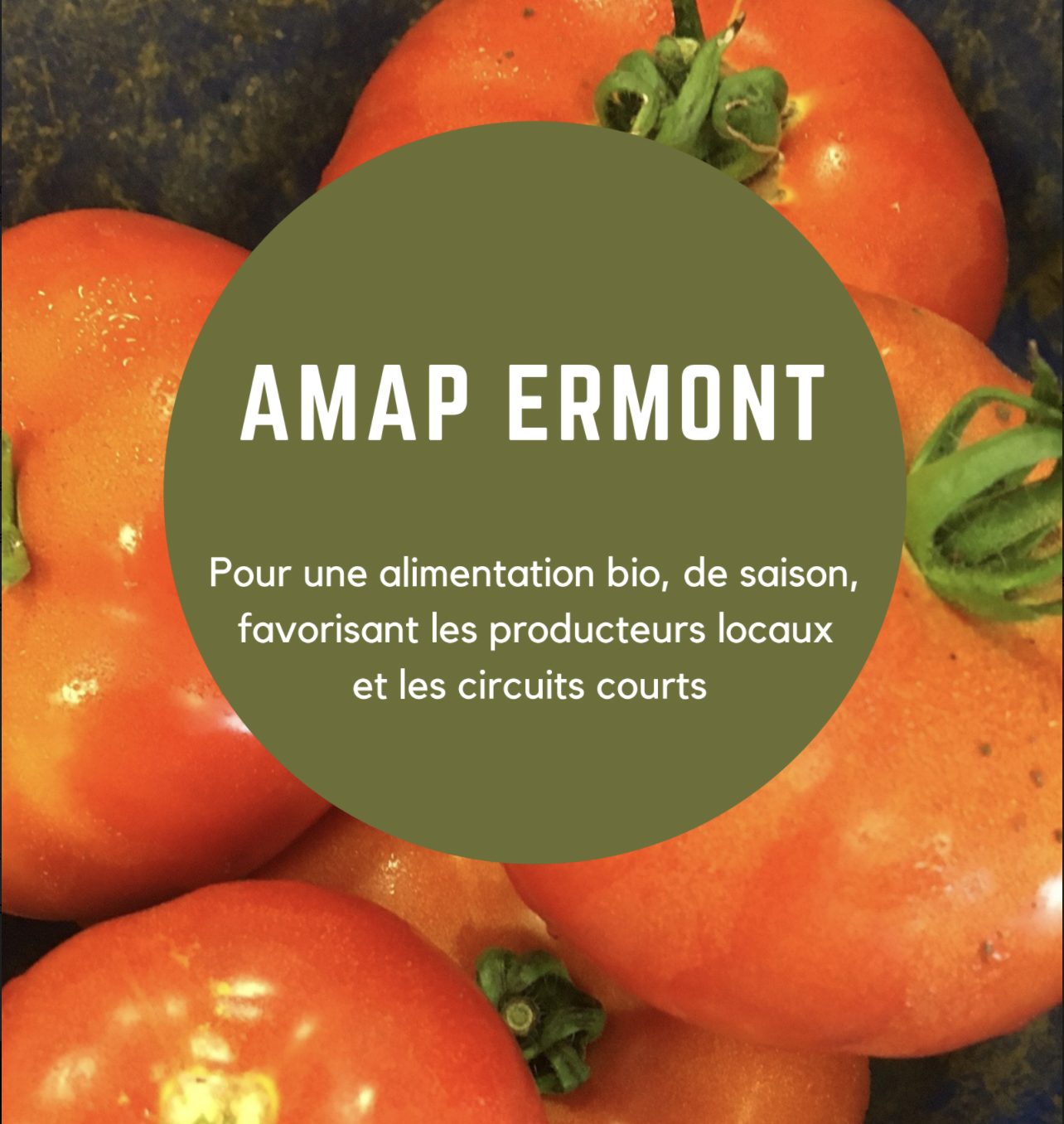 Association  pour le Maintien d'une Agriculture Paysanne  (AMAP) 